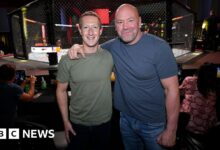 UFC boss Dana White and two others to join Meta board