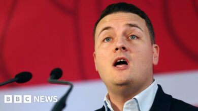 Wes Streeting accuses Nigel Farage of 'miserablist' vision for UK