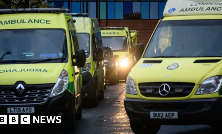 Wes Streeting says he is ashamed of NHS winter problems