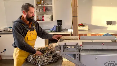 Oysterman Tom Haward wearing a yellow overall collecting oysters off a conveyor belt and collecting them in a large netted bag.