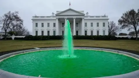 Getty Images The fountain in front of the White House is turned green with dye. The White House a large columned building is in the background