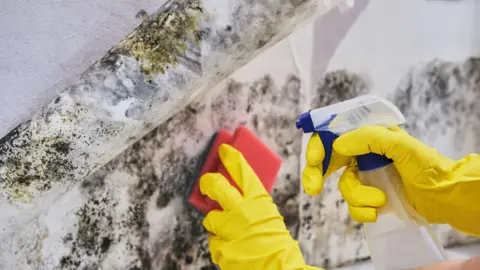 Getty Images A person wearing yellow gloves wipes black mould off a wall