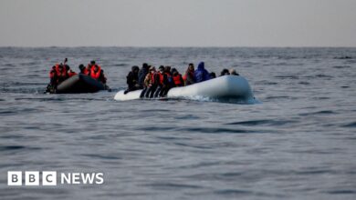 Borders bill: Smuggling gangs 'taken hold', says Yvette Cooper