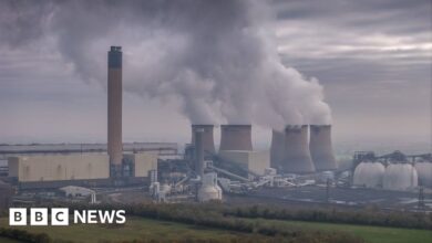 Drax power station didn't properly disclose burning forest wood