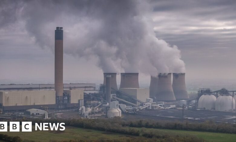 Drax power station didn't properly disclose burning forest wood