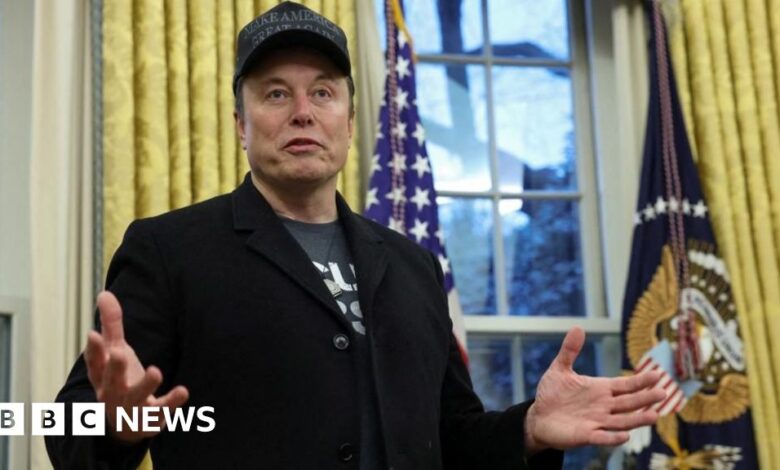 Elon Musk denies 'hostile takeover' of government in surprise White House appearance