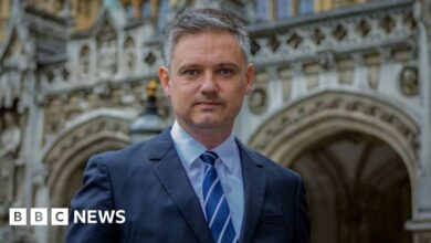 Government axes Lord Walney's political violence adviser role