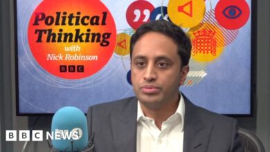Johnson UK's most damaging PM, says Reform UK chairman Zia Yusuf