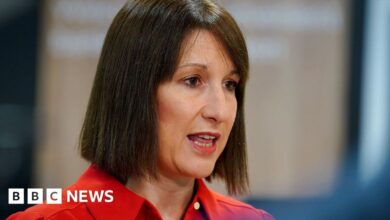 Questions raised over Rachel Reeves’s CV and expenses after BBC investigation