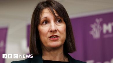 Rachel Reeves: No concerns raised with me about my expenses