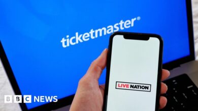 Ticketmaster UK boss tells MPs prices are very fair