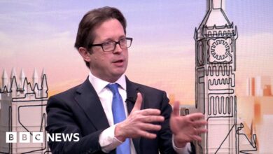 Tory shadow minister downplays talk of Reform pact