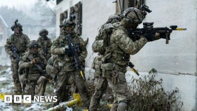 UK military too 'run down' to lead Ukraine peace mission, says ex-Army chief