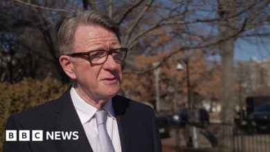 UK must respect Trump's mandate, new ambassador to US Mandelson tells BBC