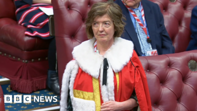 Watch: Sue Gray takes seat in the House of Lords