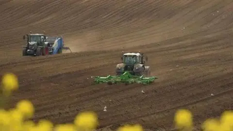 Getty Two tractors plough a muddy field, with bright yellow oil seed rape in the foreground