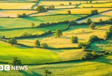 Environmental scheme closure a 'shattering blow' to farmers - NFU