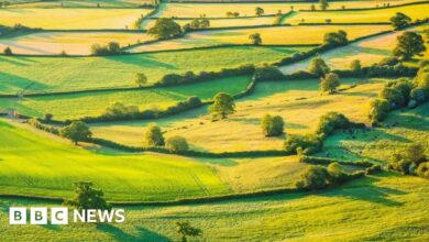 Environmental scheme closure a 'shattering blow' to farmers - NFU