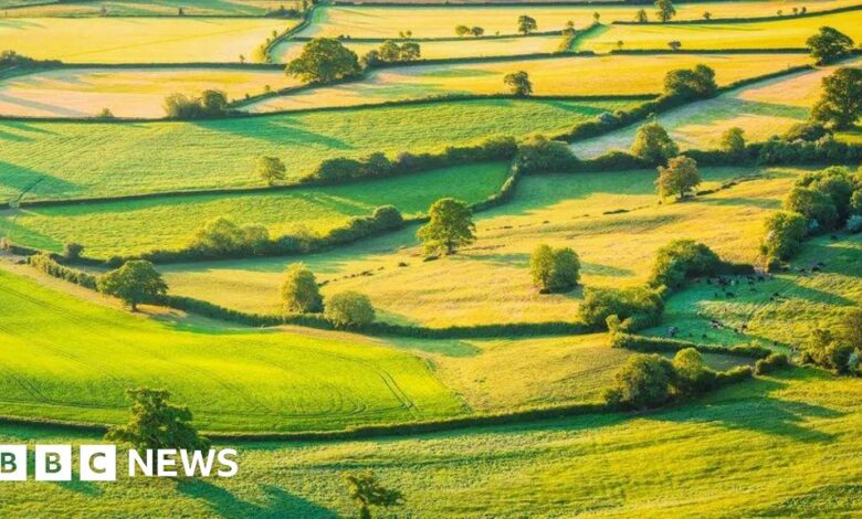 Environmental scheme closure a 'shattering blow' to farmers - NFU