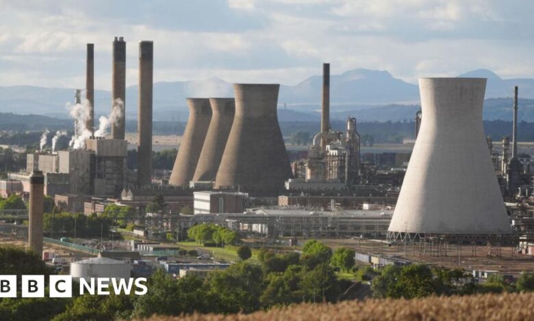 Grangemouth: Project Willow report predicts 800 green jobs could be created