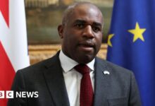 Lammy says Israel international law remarks 'could have been clearer'