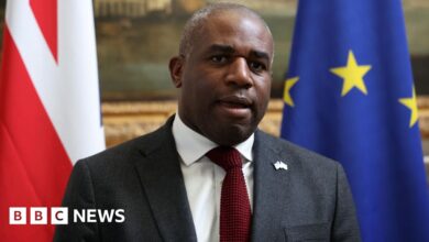 Lammy says Israel international law remarks 'could have been clearer'