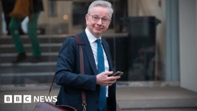 Michael Gove denies trying to circumvent Dyson ventilator checks