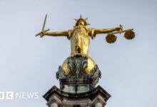 Sentencing Council to review 'two-tier' justice objections