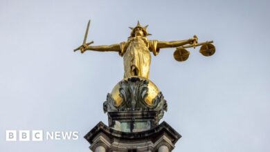 Sentencing Council to review 'two-tier' justice objections