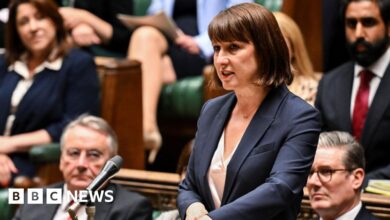 Spring Statement: What will be in chancellor Rachel Reeves plan?