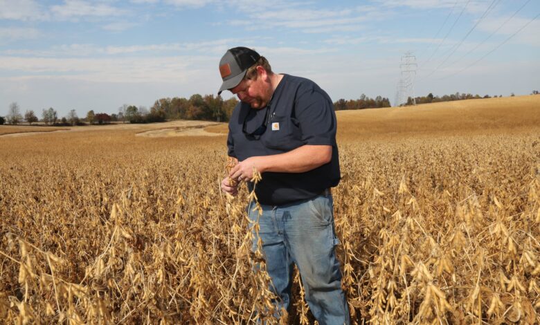 'Tariffs break trust': How Trump's trade policy is putting pressure on U.S. farmers