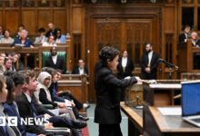 Ten-year-old becomes youngest to make speech in House of Commons