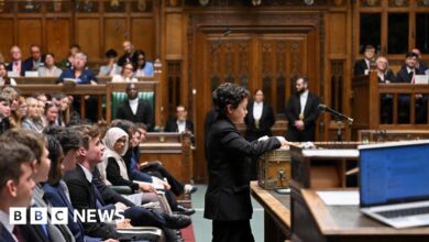 Ten-year-old becomes youngest to make speech in House of Commons