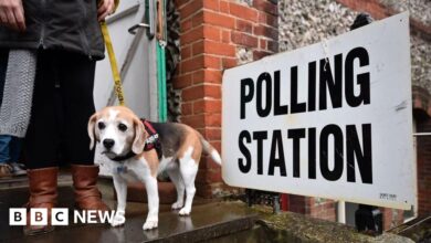 When and where are the May local elections and who can vote?