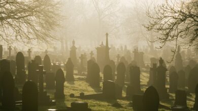Here's why 'dead' investors outperform the living