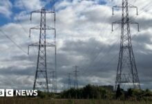 Pylons 'cheapest option' - independent report.