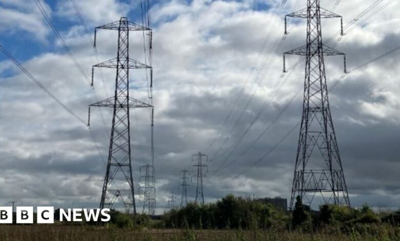 Pylons 'cheapest option' - independent report.