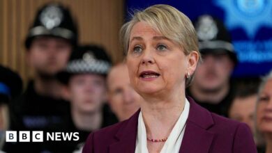 Sex offenders to be denied asylum rights in new law