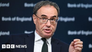 Bank of England boss: UK must 'do everything' to rebuild trade with EU