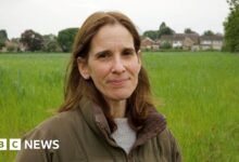 Battle begins over new homes approved in historic village without sewage capacity