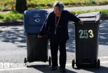 Birmingham bin dispute goes to May Day mediation talks