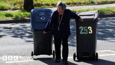 Birmingham bin dispute goes to May Day mediation talks