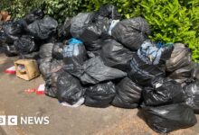 Birmingham bin strike: Unite blames council for lack of progress