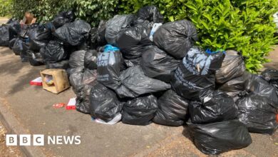 Birmingham bin strike: Unite blames council for lack of progress