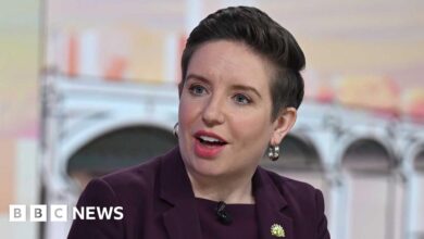 Carla Denyer won't seek re-election as Green Party co-leader
