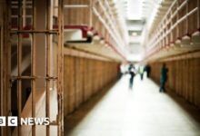 Chemical castration for sex offenders to be trialled in 20 prisons
