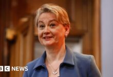 Cooper backs PM over 'island of strangers' remark