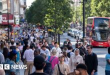Drop in work visas and students halved net migration, ONS figures show