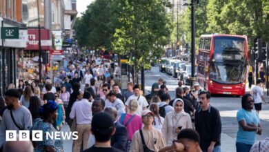 Drop in work visas and students halved net migration, ONS figures show