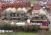 Environmental rules reviewed for small housebuilders
